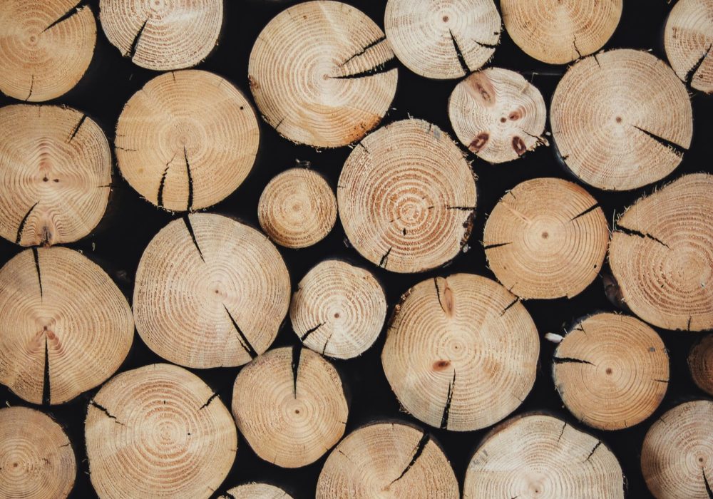 alexandre-jaquetoni-6yelWDI3RE8-unsplash